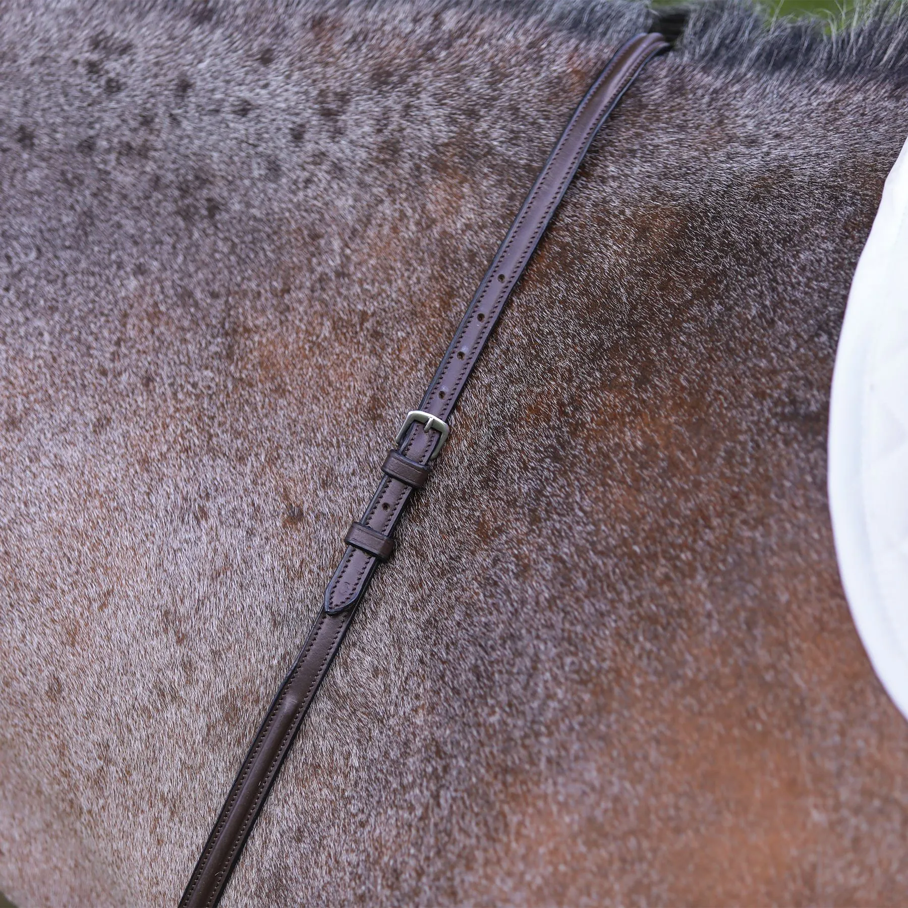 Premier® Premier Raised Fancy Stitched Standing Martingale 6 Premier® Premier Raised Fancy Stitched Standing Martingale - Image 6