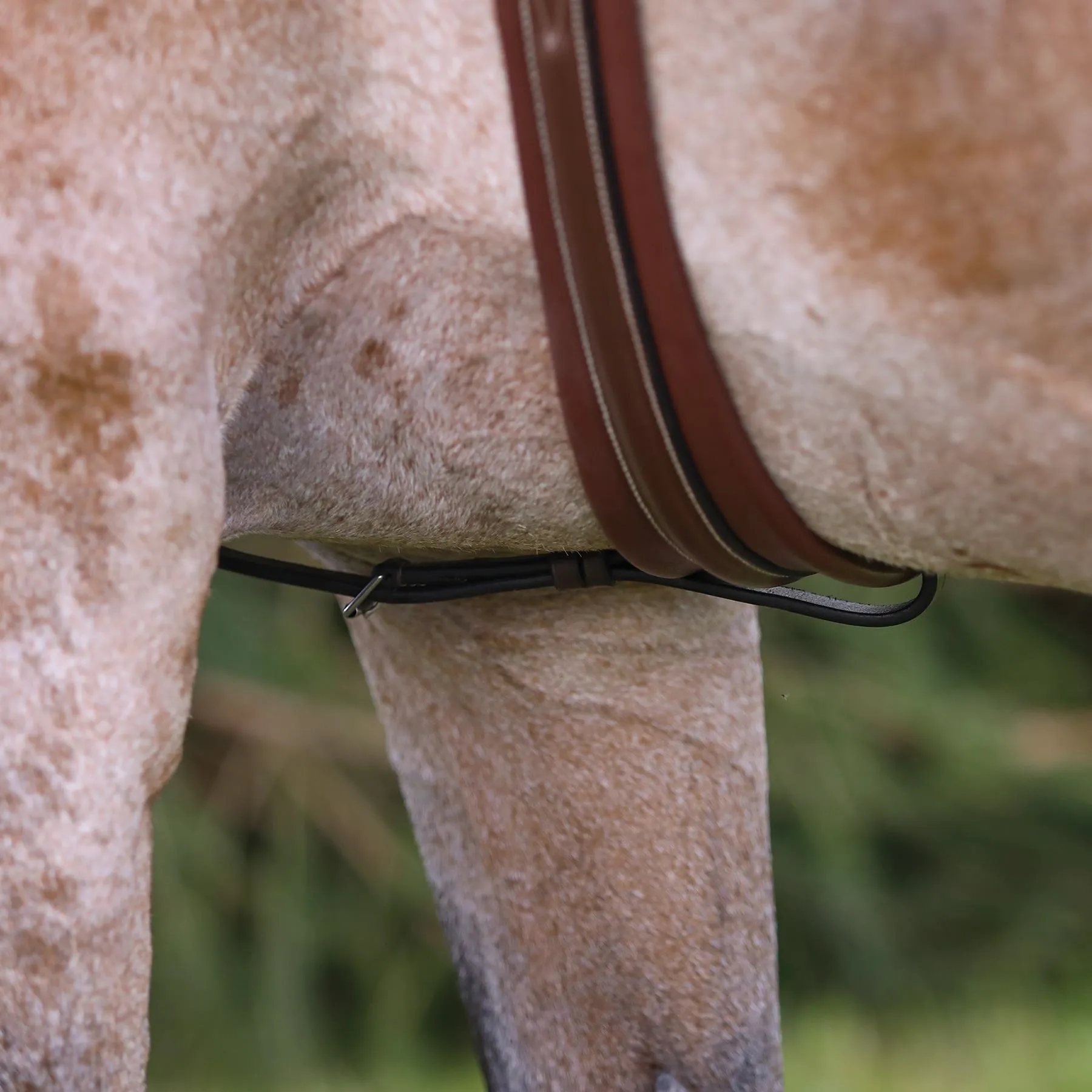 Premier® Premier Raised Fancy Stitched Standing Martingale 8 Premier® Premier Raised Fancy Stitched Standing Martingale - Image 8