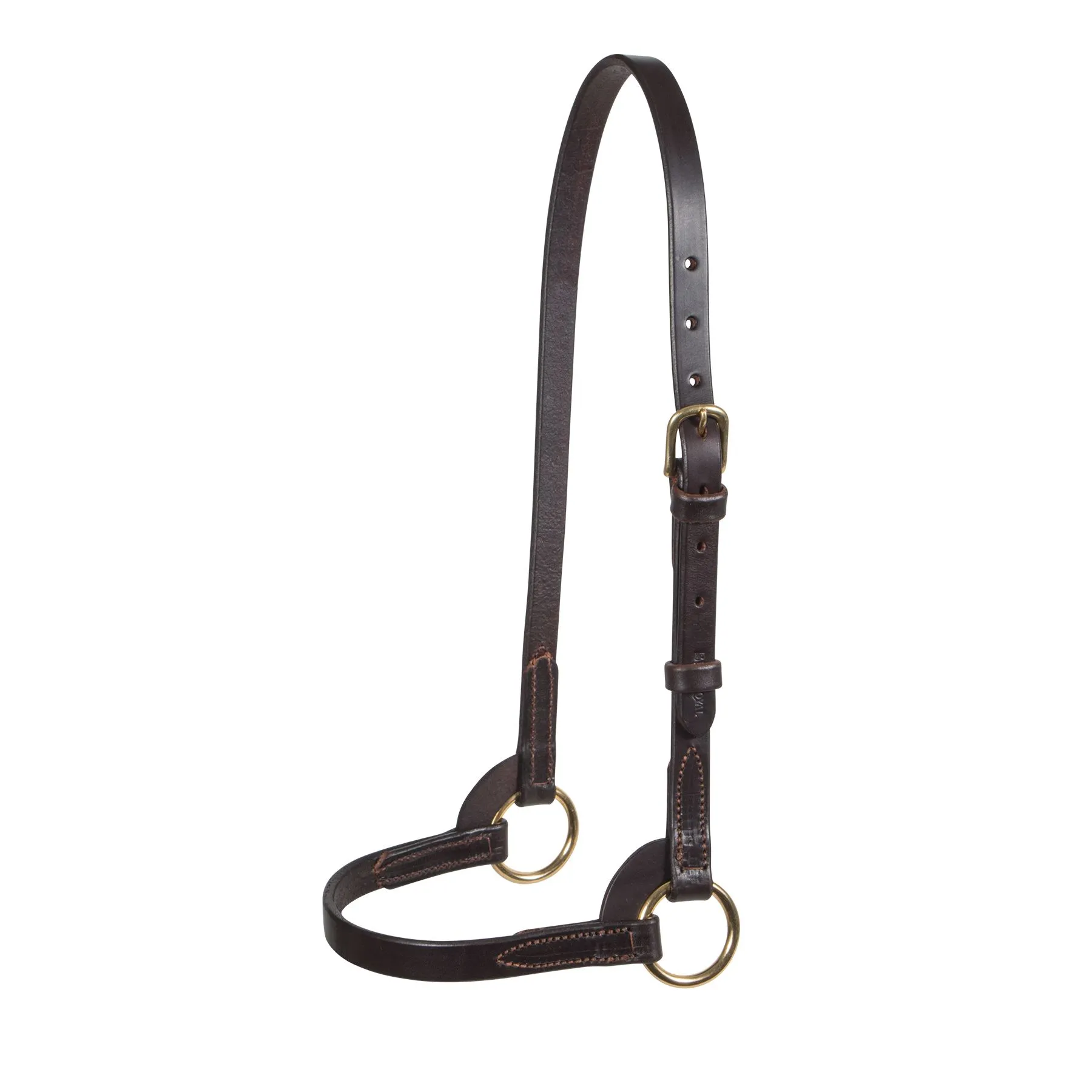 Victor Supreme David Boggs Arabian Training Halter 2 Victor Supreme David Boggs Arabian Training Halter - Image 2