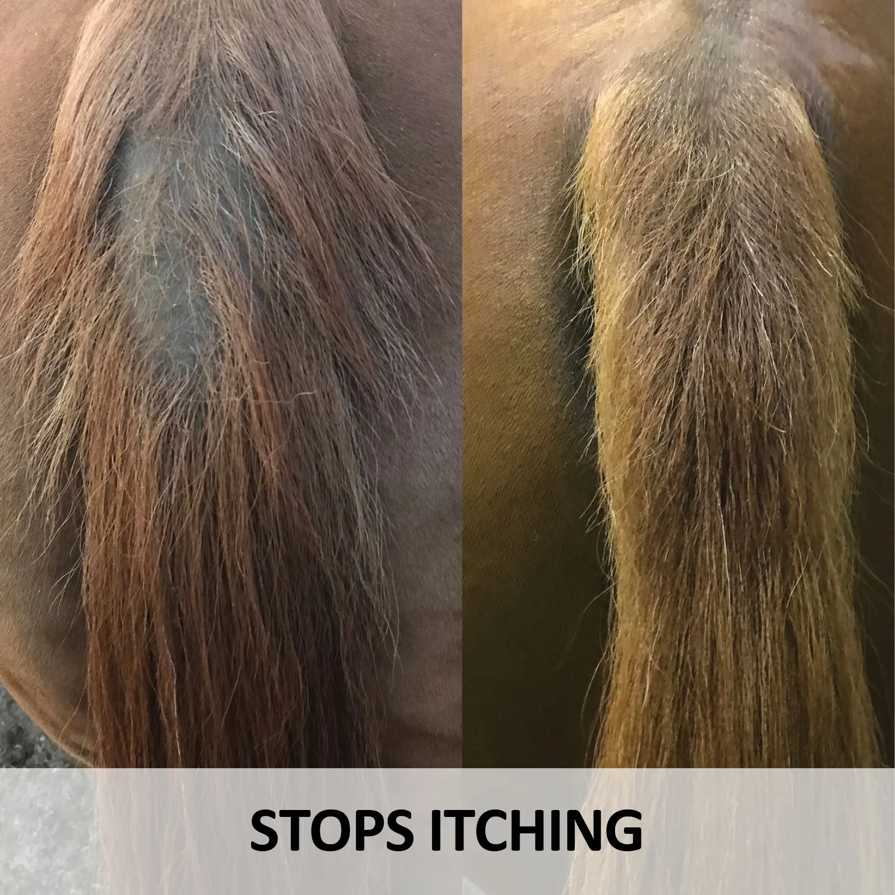 Ultra Tail Revive & Restore Spray 32oz. 3 Ultra Tail Revive & Restore Spray 32oz. - Image 3