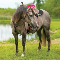 Double S Reno Breastcollar 10 Double S Reno Breastcollar -Equestrian Supplies Shop 41095 alt e