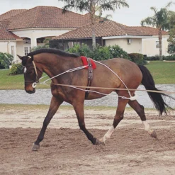 Pessoa Lunging System
