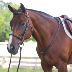 Premier® Premier Raised Fancy Stitched Breastplate
