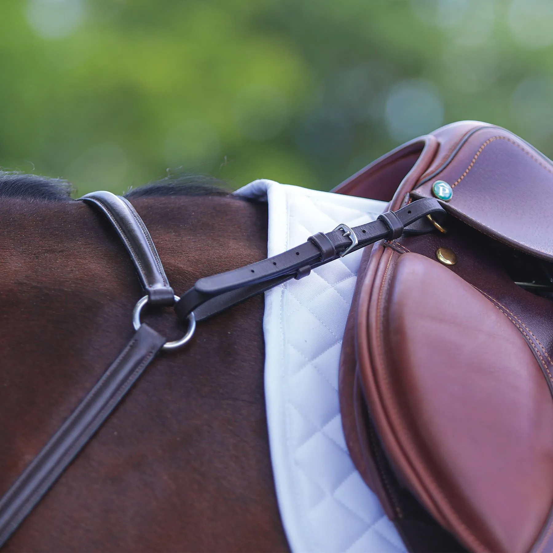 Premier® Premier Raised Fancy Stitched Breastplate 4 Premier® Premier Raised Fancy Stitched Breastplate - Image 4