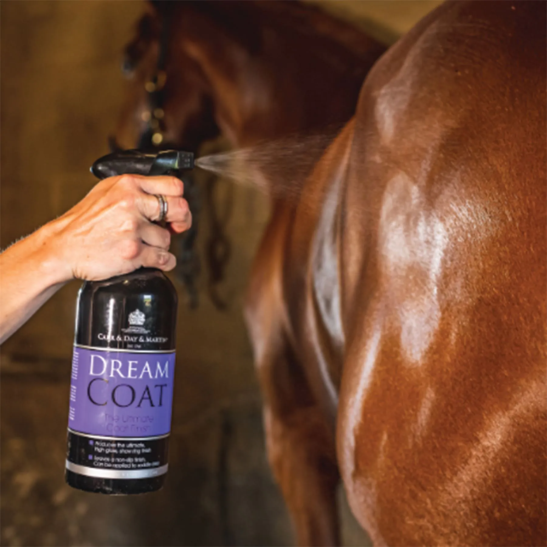 Dream Coat® Ultimate Coat Finish 2 Dream Coat® Ultimate Coat Finish - Image 2