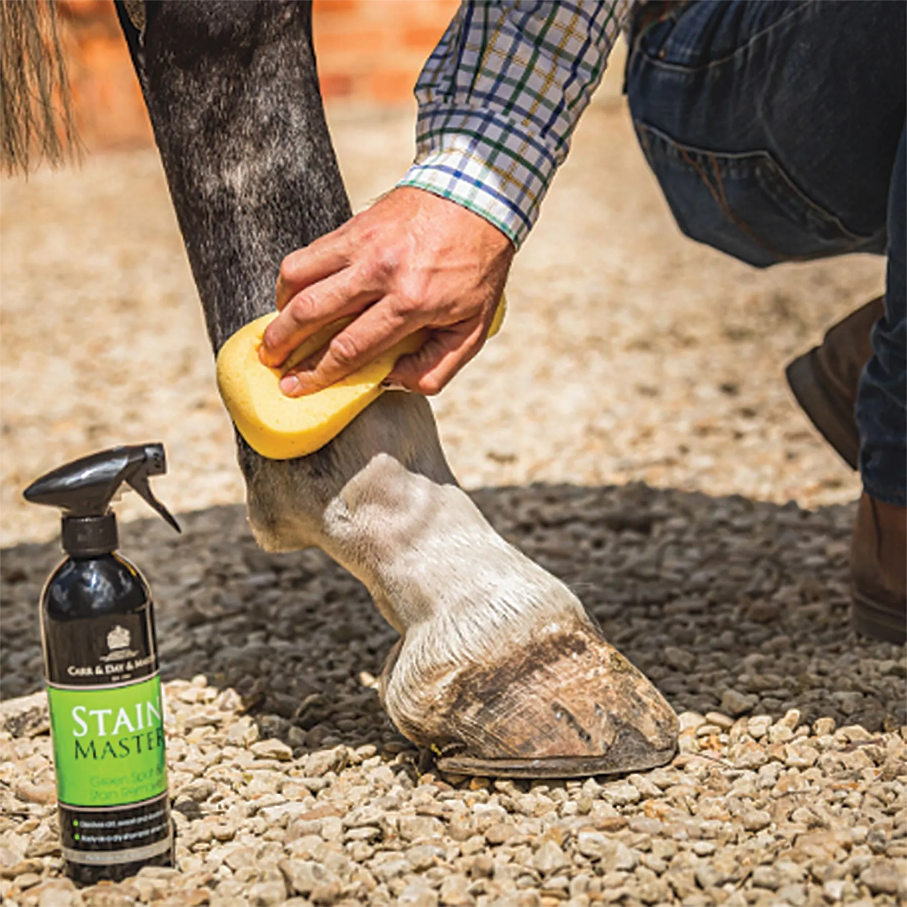 Stain Master® Green Spot Remover 500ml 2 Stain Master® Green Spot Remover 500ml - Image 2