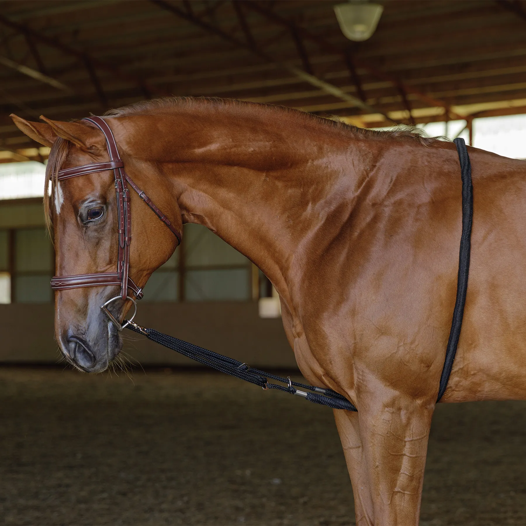 Schneiders® Lunging Aid 1 Schneiders® Lunging Aid