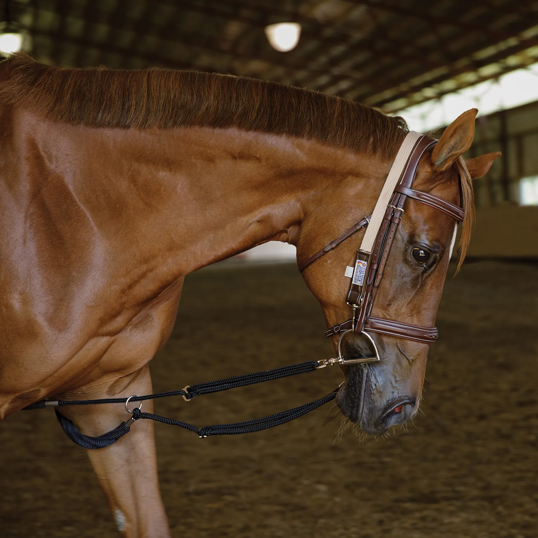 Schneiders® Lunging Aid 2 Schneiders® Lunging Aid - Image 2