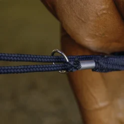 Schneiders® Lunging Aid 11 Schneiders® Lunging Aid -Equestrian Supplies Shop 44809 alt c