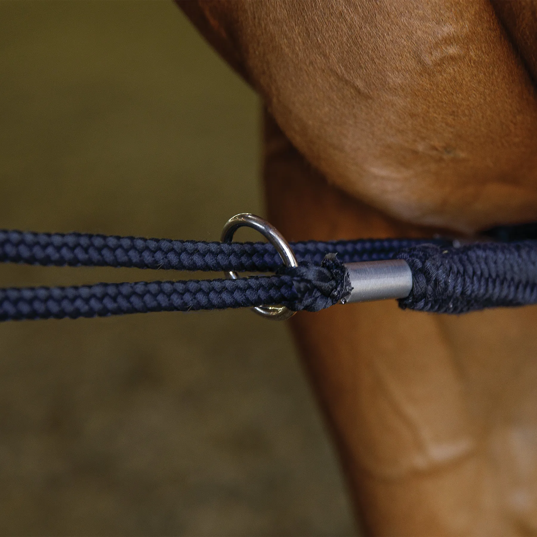 Schneiders® Lunging Aid 4 Schneiders® Lunging Aid - Image 4