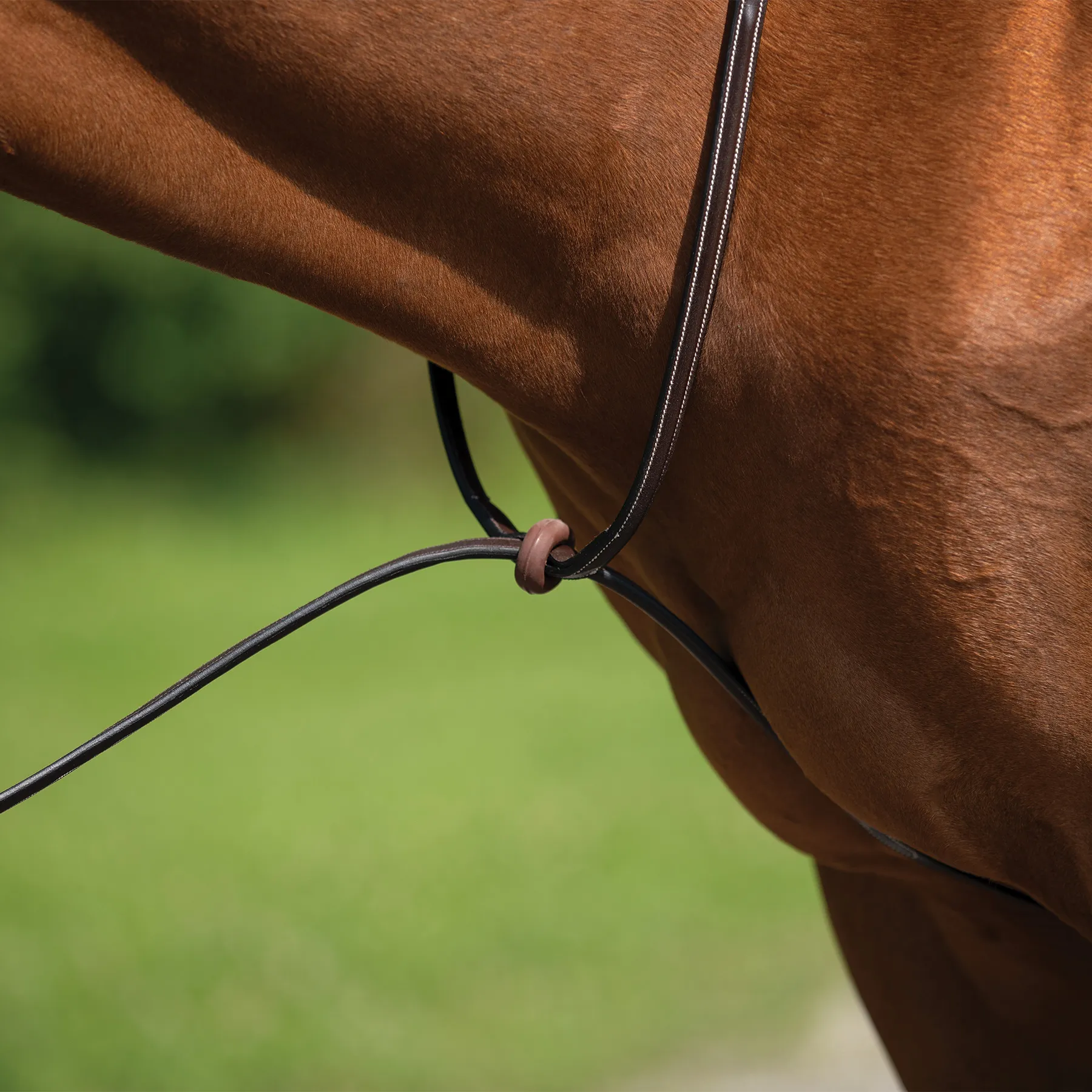 Schneiders® Raised Standing Martingale With Fancy Stitching 3 Schneiders® Raised Standing Martingale With Fancy Stitching - Image 3