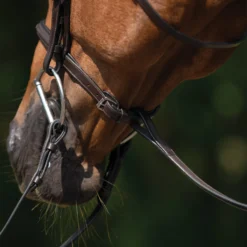 Schneiders® Raised Standing Martingale With Fancy Stitching 15 Schneiders® Raised Standing Martingale With Fancy Stitching -Equestrian Supplies Shop 44910 alt e